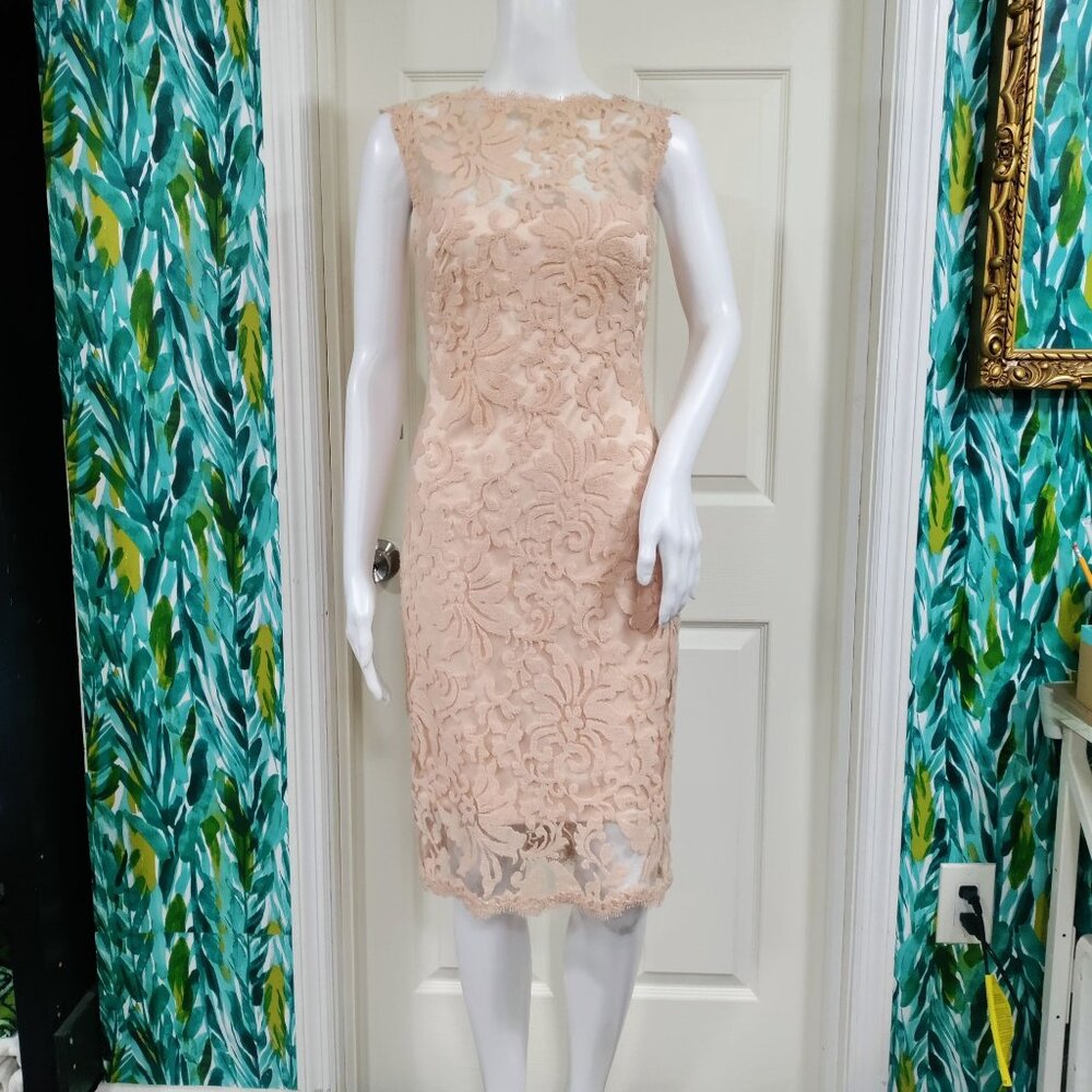 Tadashi Shoji Sheath Dress S Beige Rose Pink Lace Sleeveless - Picture 2 of 10